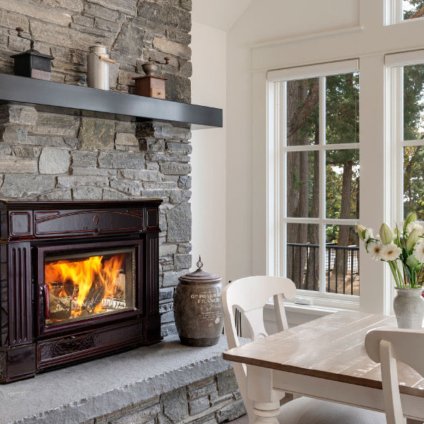 how to clean a fireplace insert