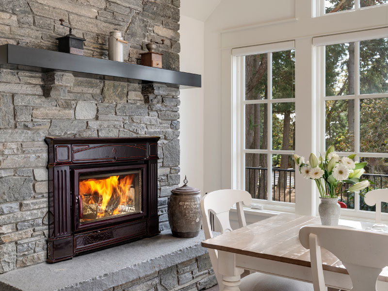 how to clean a fireplace insert