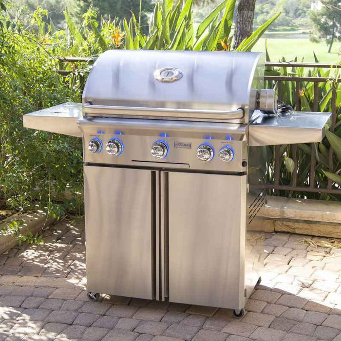 American Outdoor Grill 30" L Series Portable Gas Grill