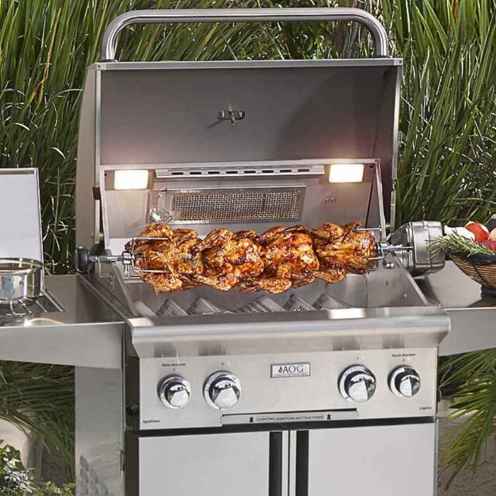 American Outdoor Grill 36" L Series Portable Gas Grill