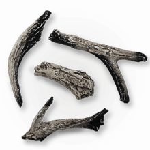 Napoleon Standard Beach Fire Log Set