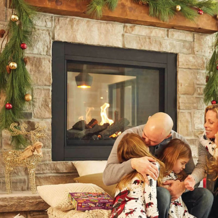 Napoleon Ascent Multi-View See Through Direct Vent Gas Fireplace