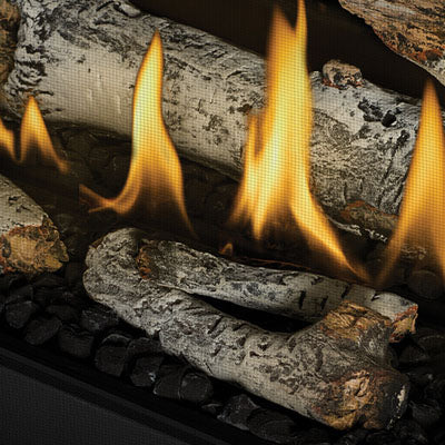 Napoleon Ascent Linear 56" Direct Vent Gas Fireplace