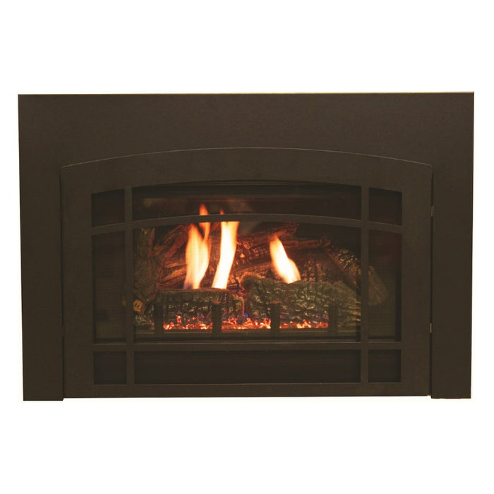 Empire Innsbrook Large Clean Face Direct Vent Gas Insert | DVC28IN