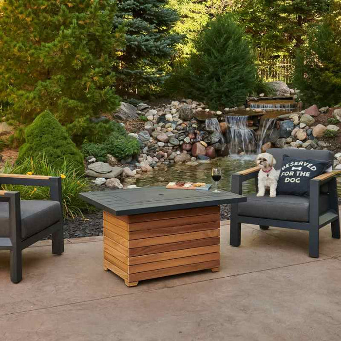 Darien Rectangular Gas Fire Pit Table with Aluminum Top with Cover and Wine along with the Dog