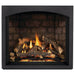 Elevation X-EX36 with Newport, Whitney Front and Split Oak Log Set