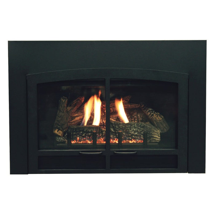 Empire Innsbrook Large Clean Face Direct Vent Gas Insert | DVC28IN