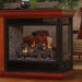 Empire Tahoe Premium 3-Sided Peninsula Direct Vent Gas Fireplace with Black Barrier Screen