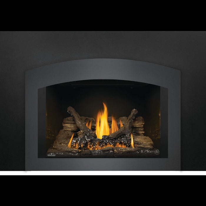 Napoleon Oakville 3 Direct Vent Gas Insert
