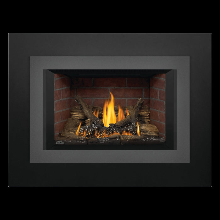 Napoleon Oakville 3 Direct Vent Gas Insert