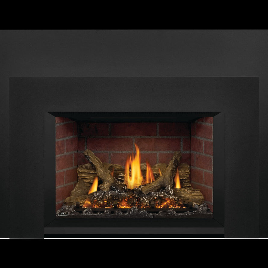 ニャベ！ Napoleon Oakville X3 Series Direct Vent Gas Insert | Embers Living