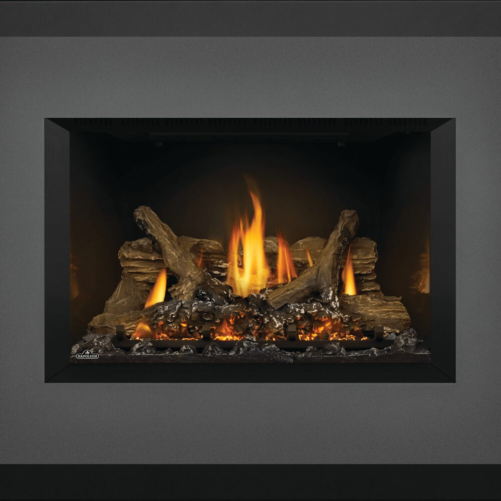 Napoleon Oakville X3 Direct Vent Gas Insert | GDIX3N — The Torch Guys
