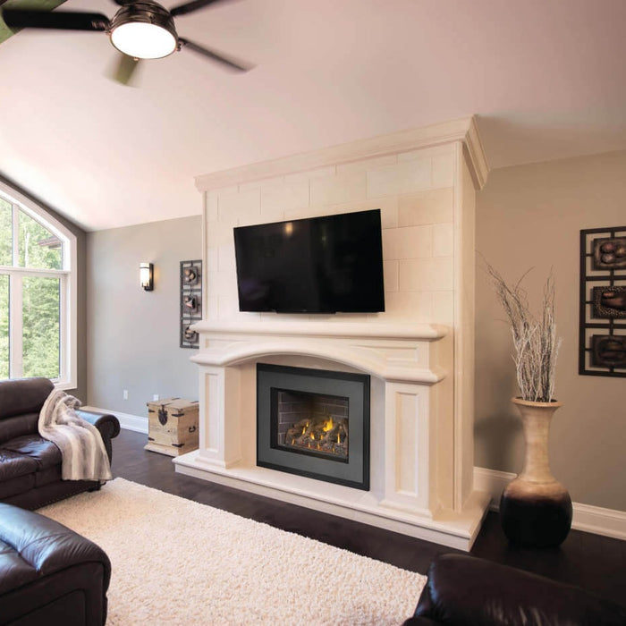 Napoleon Oakville X4 Direct Vent Gas Insert