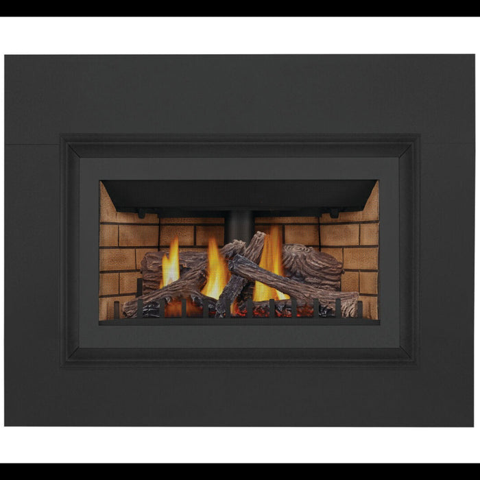 Napoleon Inspiration ZC Direct Vent Gas Insert