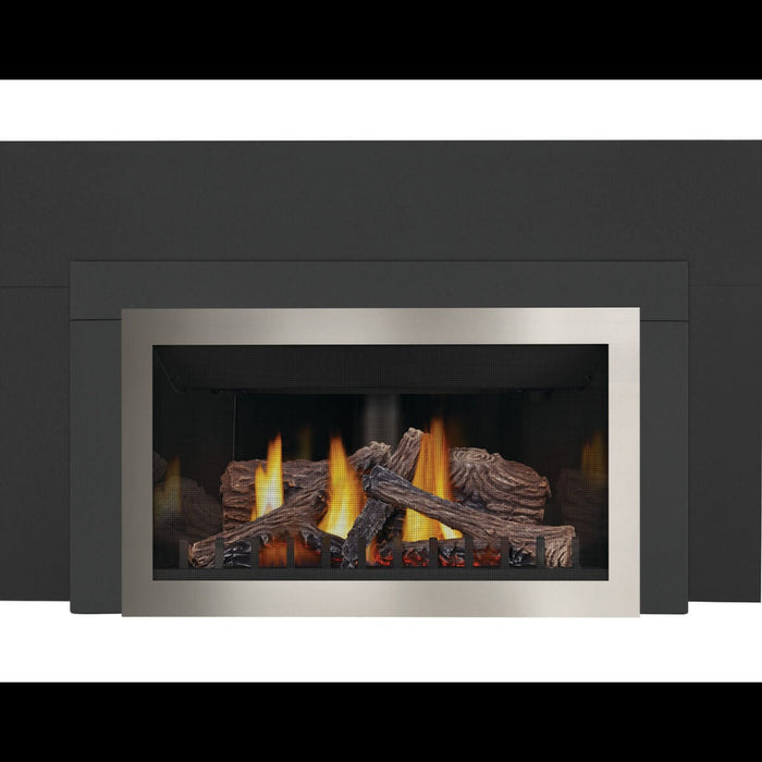 Napoleon Inspiration ZC Direct Vent Gas Insert