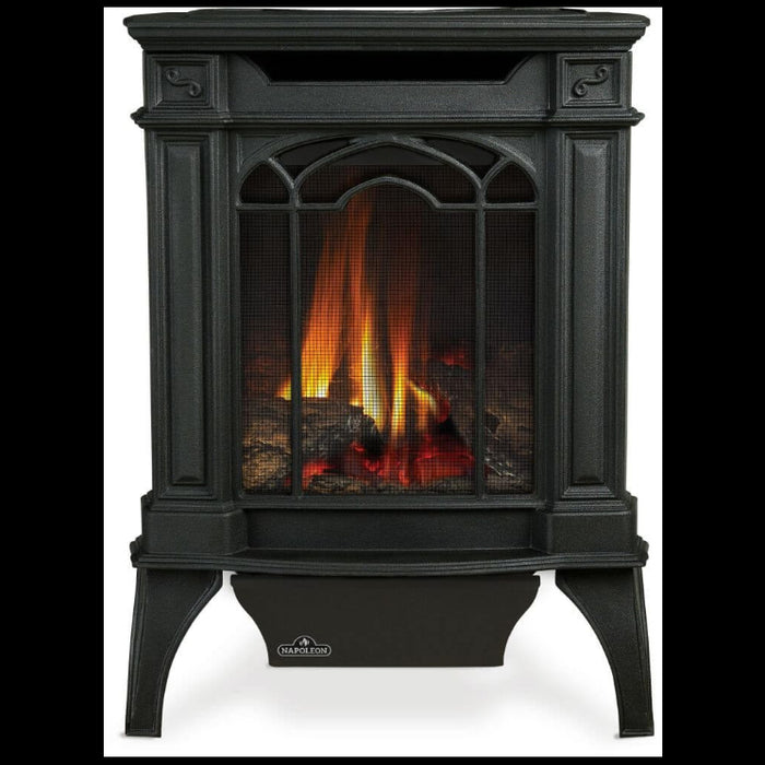 Napoleon Arlington Direct Vent Gas Stove