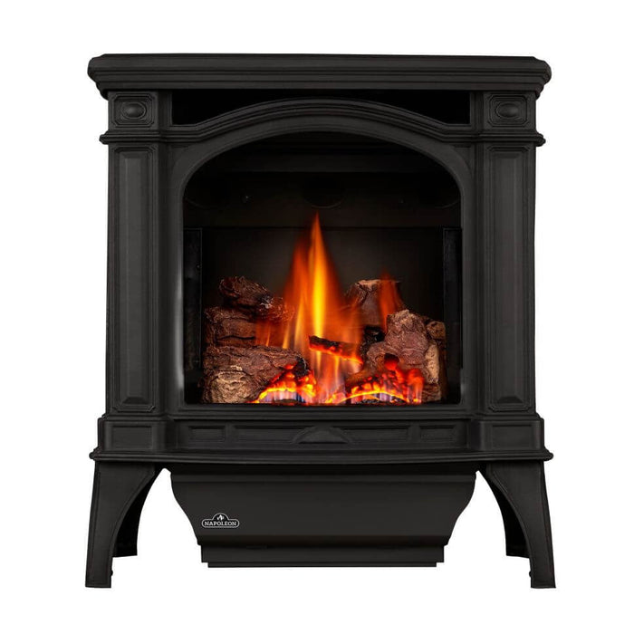 Napoleon Bayfield DIrect Vent Gas Stove