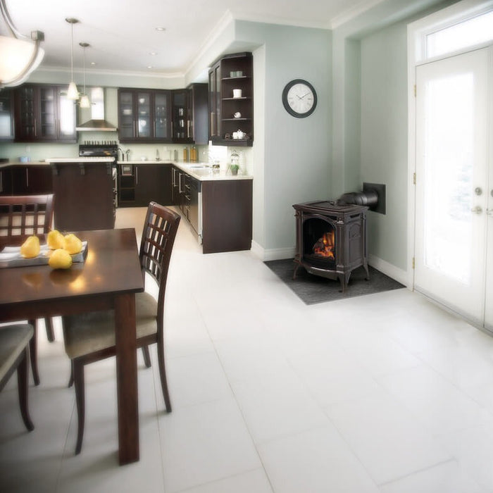 Napoleon Bayfield DIrect Vent Gas Stove