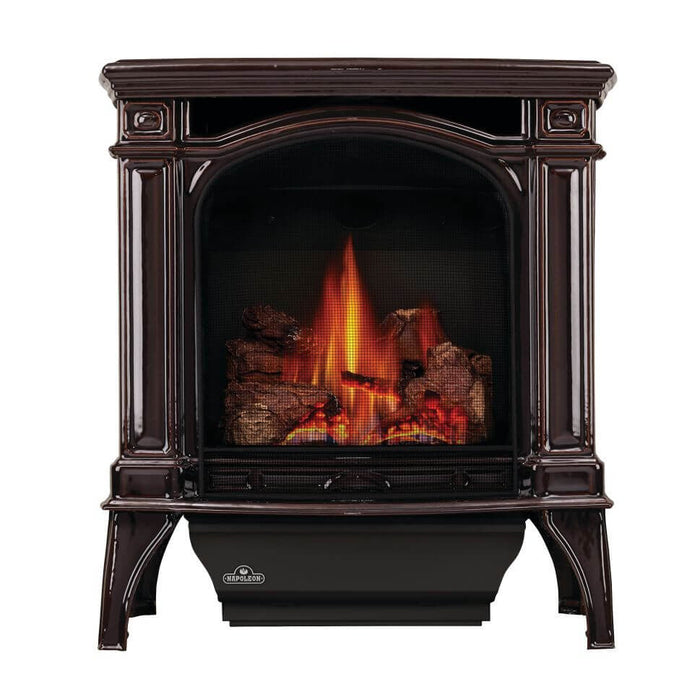 Napoleon Bayfield DIrect Vent Gas Stove