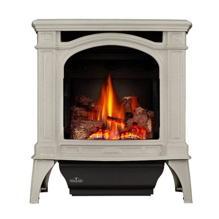 Napoleon Bayfield DIrect Vent Gas Stove