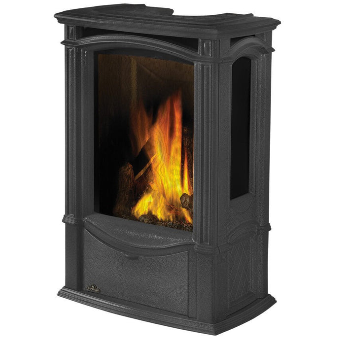 Napoleon Castlemore Direct Vent Gas Stove