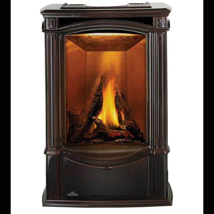 Napoleon Castlemore Direct Vent Gas Stove
