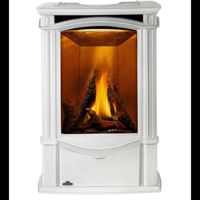 Napoleon Castlemore Direct Vent Gas Stove