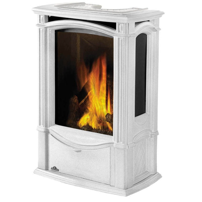 Napoleon Castlemore Direct Vent Gas Stove