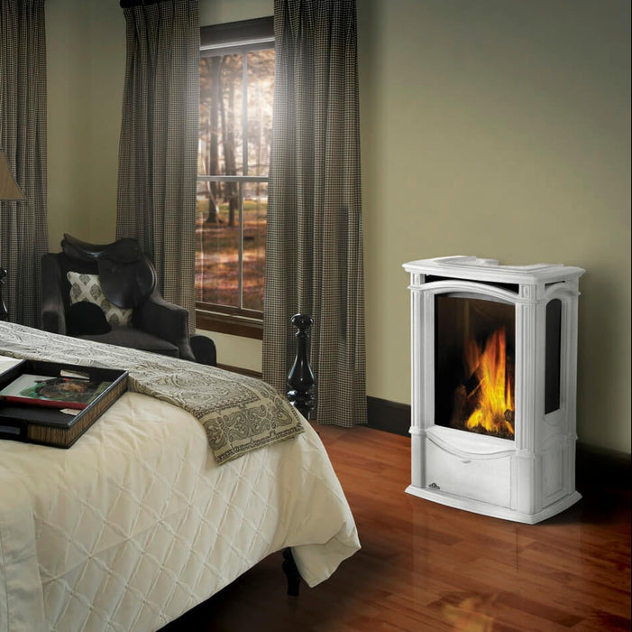 Napoleon Castlemore Direct Vent Gas Stove