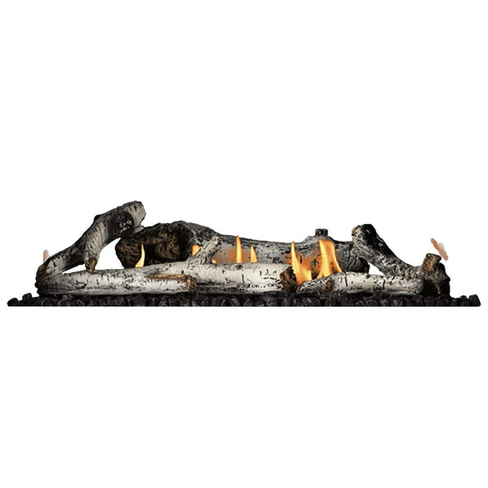 Napoleon Ascent Linear 42" Direct Vent Gas Fireplace
