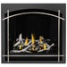 Napoleon Altitude X 36 Direct Vent Fireplace with Arched Whitney Satin Nickel, Black Illusion Glass Panels and Birch Logs Set