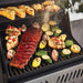 Napoleon Freestyle 365 Gas Grill Outdoor Grill 1