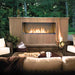 Napoleon Galaxy 48" Outdoor Linear Gas Fireplace with Front Glass V2