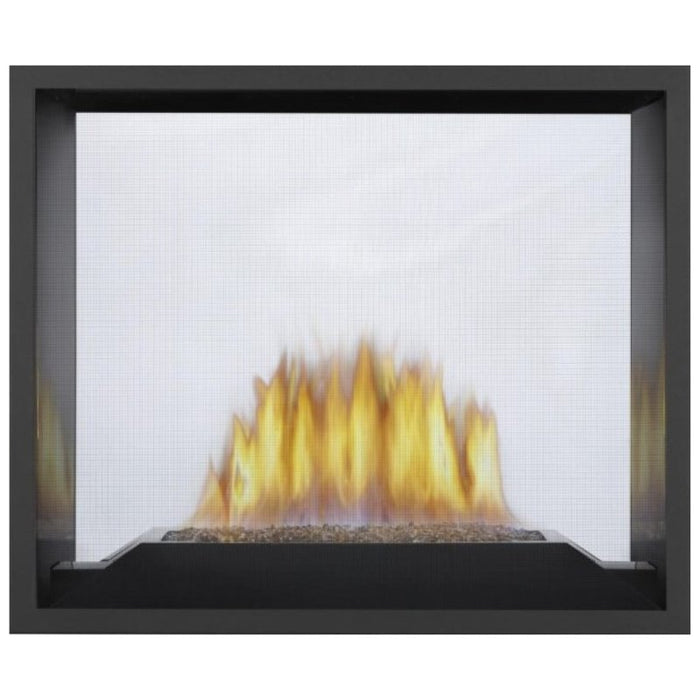 Napoleon High Definition 81 See Thru Direct Vent Gas Fireplace Burner assembly - Glass (TOPAZ) with Porcelain reflective radiant panels