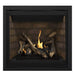 Napoleon Altitude 36" Direct Vent Fireplace with Newport Interior Panel and Black Zen Front