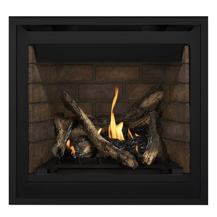 Napoleon Altitude 36" Direct Vent Fireplace with Newport Interior Panels