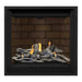 Napoleon Altitude X 36" Direct Vent Fireplace with Newport Interior Panels and Driftwood Log Set