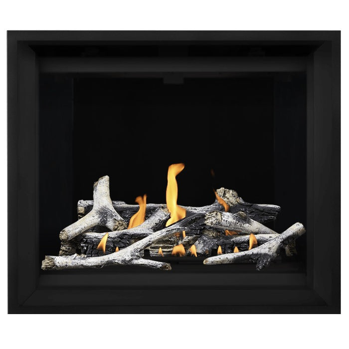 Napoleon Altitude X 42" Direct Vent Fireplace with MIRRO-FLAME Porcelain and Birch Log Set