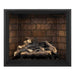 Napoleon Elevation 36" Direct Vent Fireplace with Electronic and Newport Interior Panel