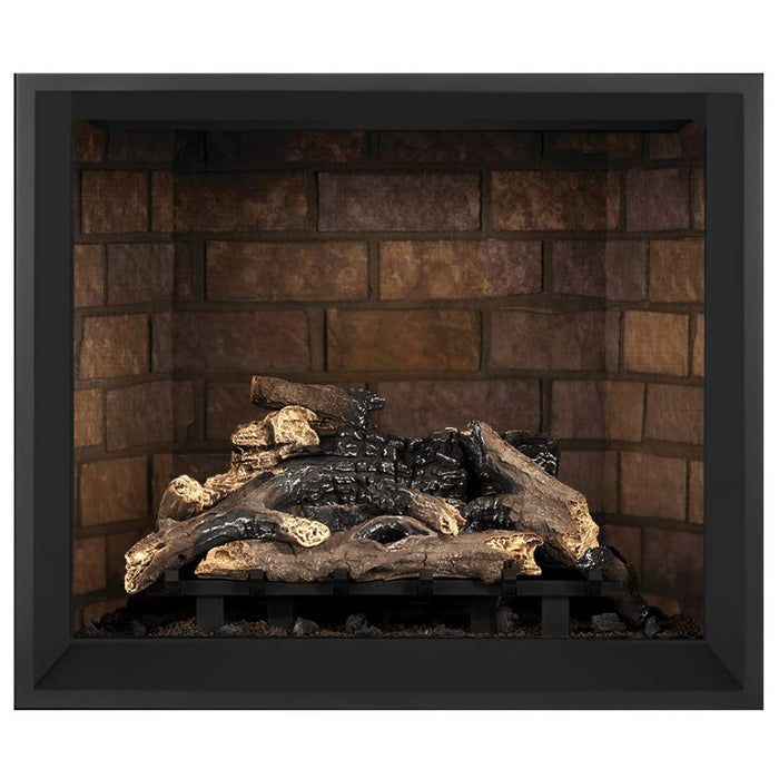 Napoleon Elevation 42" Direct Vent Fireplace with Electronic and Newport Interior Panel