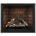 Napoleon Elevation 42" Direct Vent Fireplace with Electronic and Newport Interior Panel