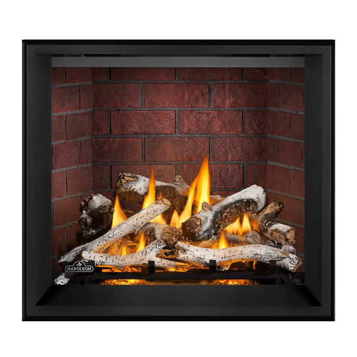 Napoleon Elevation X 36 Direct Vent Fireplace with Old Town Red Standard Interior Panel and Birch Log Set 