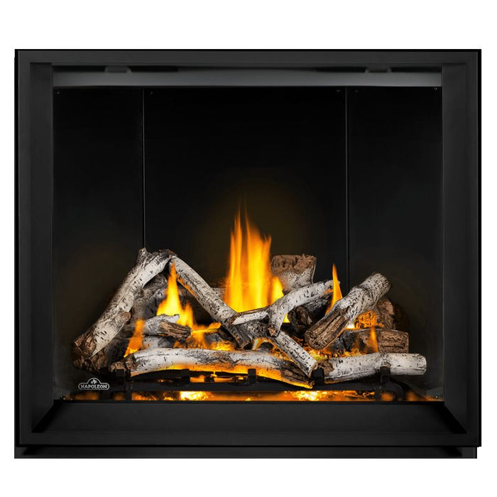 Napoleon Elevation X 42" Direct Vent Fireplace with MIRRO-FLAME Porcelain Interior Panel and Birch Log Set 