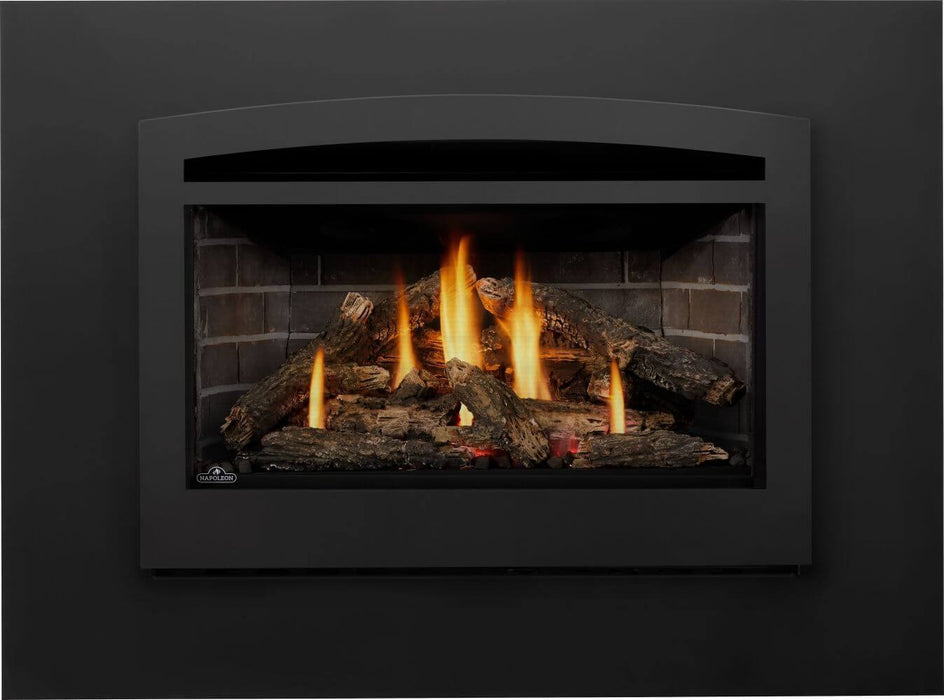 Napoleon Rosedale 3 Direct Vent Gas Fireplace Insert