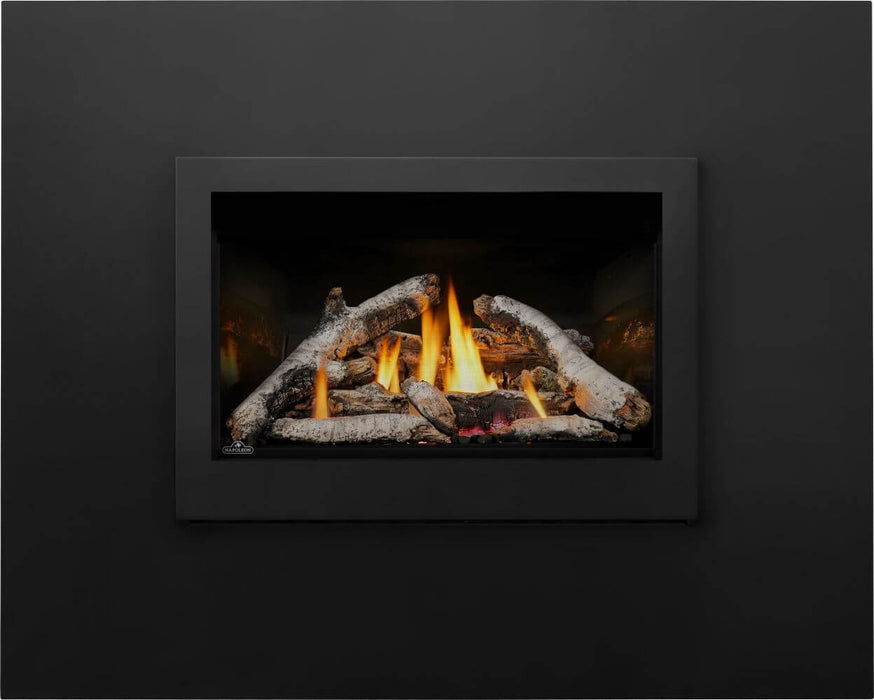 Napoleon Rosedale 3 Direct Vent Gas Fireplace Insert