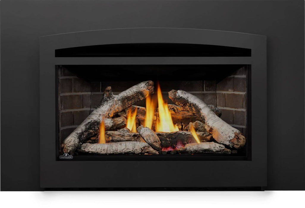 Napoleon Rosedale 3 Direct Vent Gas Fireplace Insert