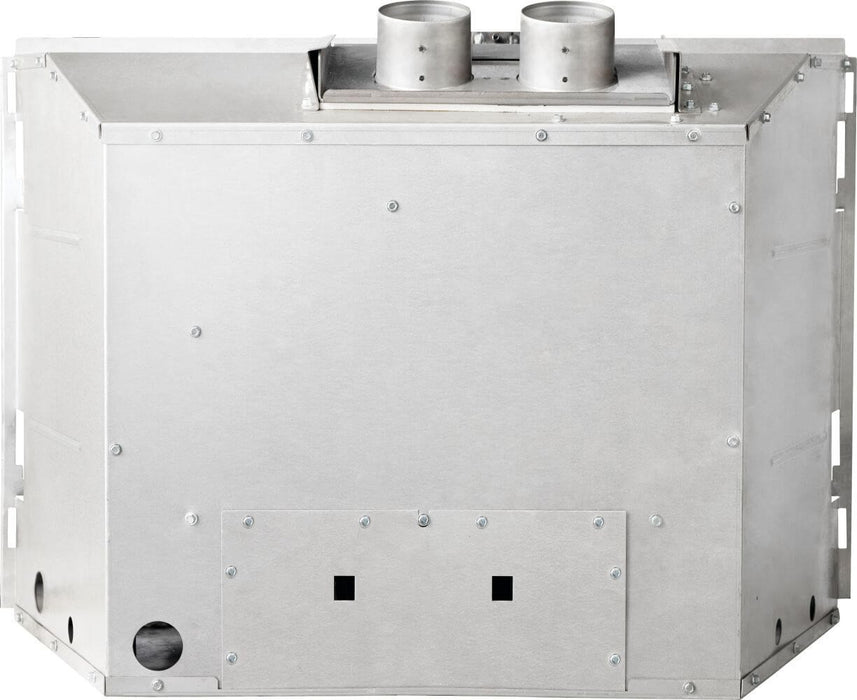 Napoleon Rosedale 3 Direct Vent Gas Fireplace Insert