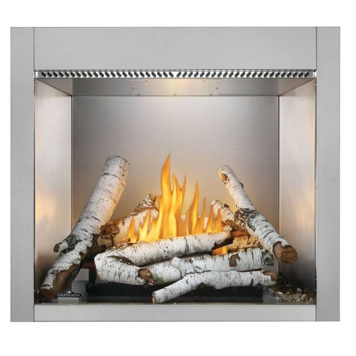 Napoleon Riverside 36 Outdoor Gas Fireplace with Standard Stainless Steel Decorative Panel and Birch Log Set