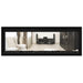 Napoleon Vector 50 See Thru Linear Direct Vent Gas Fireplace with Black Crushed Glass Embers