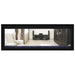 Napoleon Vector 50 See Thru Linear Direct Vent Gas Fireplace with Blue Crushed Glass Embers